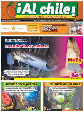Cover of Al chile