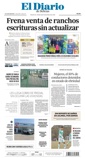 Cover of El Diario de Delicias