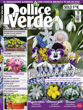 Cover of Pollice Verde