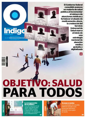 Cover of Reporte Indigo Nacional