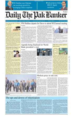 Cover of The Pak Banker