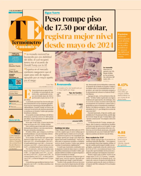 Cover of Termometro Economico