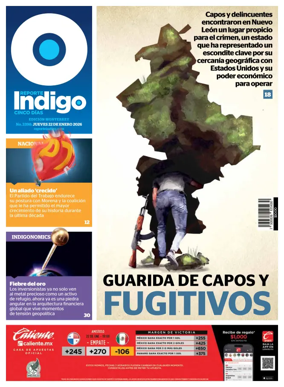 Cover of Reporte Indigo Monterrey