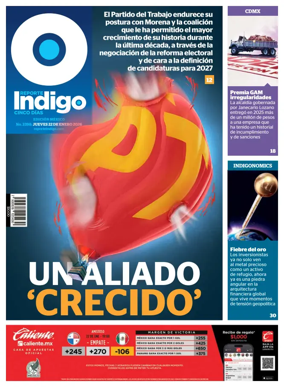 Cover of Reporte Indigo Nacional