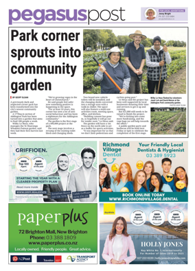 Cover of Pegasus Post