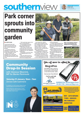 Cover of Southern View