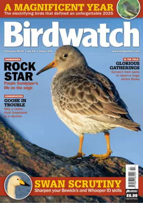 Cover of Birdwatch