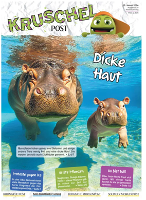 Cover of Kruschelpost