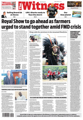 Cover of The Witness (South Africa)