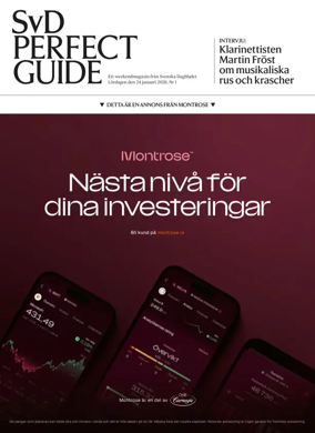 Cover of SvD Perfect Guide