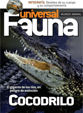 Cover of Fauna universal