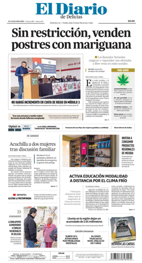 Cover of El Diario de Delicias
