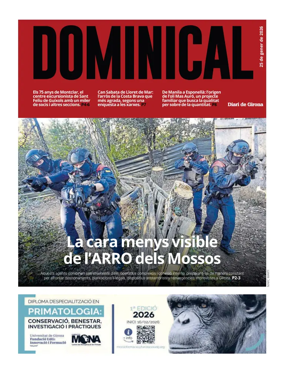 Cover of Dominical