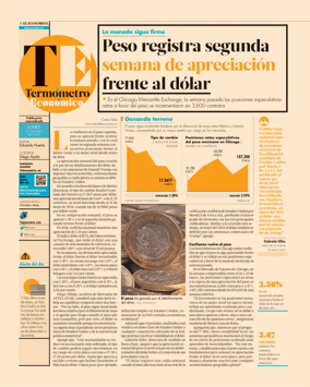 Cover of Termometro Economico