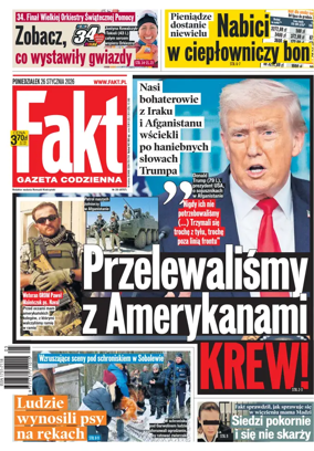 Cover of Fakt