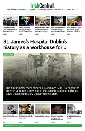 Cover of Irish Central