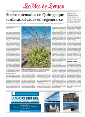 Cover of Monforte local