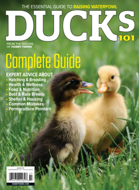 Cover of Ducks 101