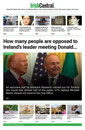 Cover of Irish Central