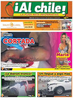 Cover of Al chile