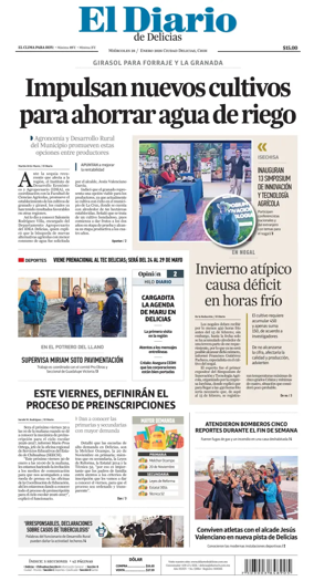 Cover of El Diario de Delicias