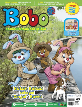 Cover of Bobo