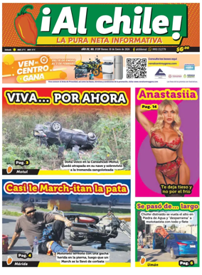 Cover of Al chile