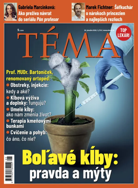 Cover of Tema