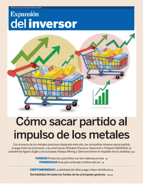 Cover of Inversor