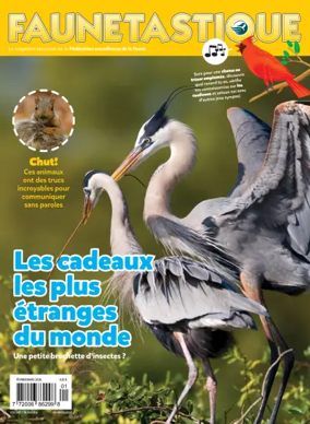 Cover of Faunetastique