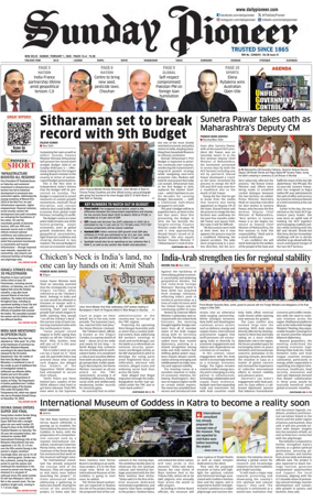 Cover of The Pioneer