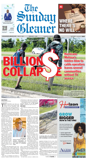 Cover of The Gleaner