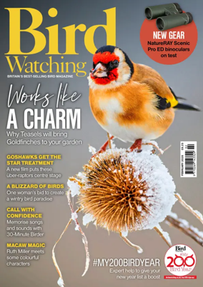 Cover of Bird Watching (UK)