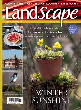 Cover of Landscape (UK)