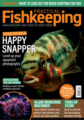 Cover of Practical Fishkeeping