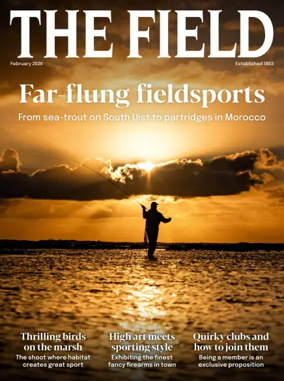 Cover of The Field