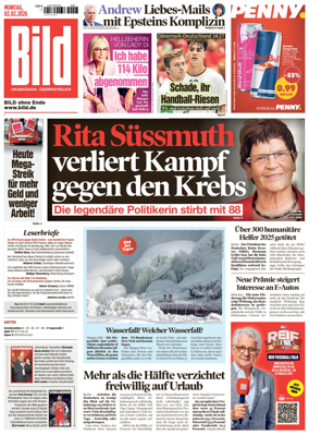 Cover of Bild