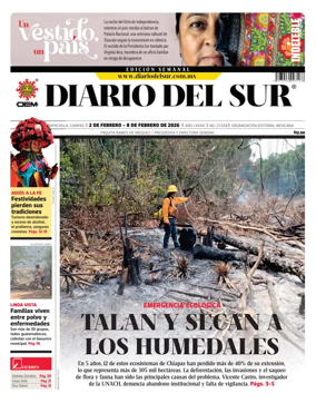 Cover of Diario del Sur