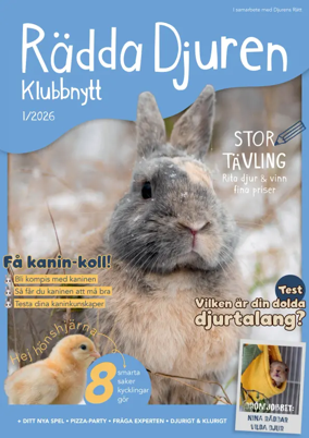 Cover of Radda Djuren