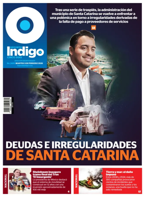 Cover of Reporte Indigo Monterrey