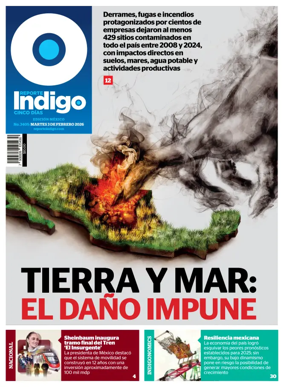 Cover of Reporte Indigo Nacional