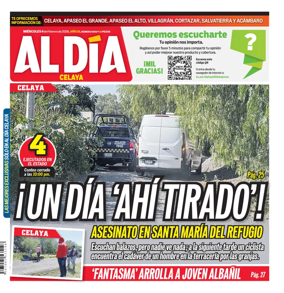 Cover of Periodico Al Dia (Celaya)