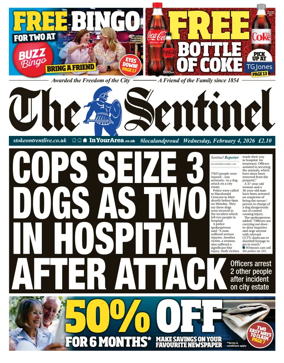 Cover of The Sentinel