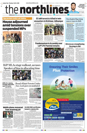 Cover of The Northlines