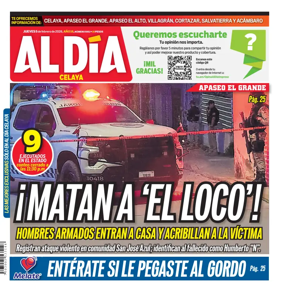 Cover of Periodico Al Dia (Celaya)