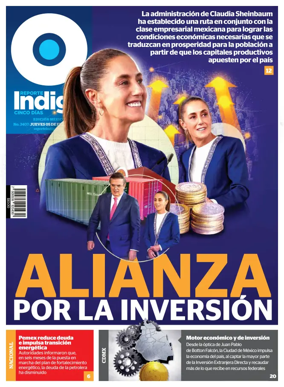 Cover of Reporte Indigo Nacional