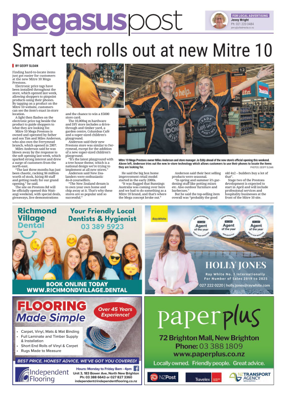 Cover of Pegasus Post