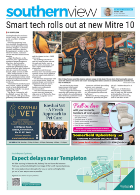 Cover of Southern View