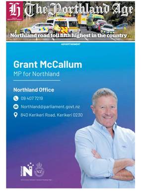 Cover of The Northland Age