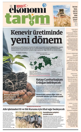 Cover of NBE - Sektor Ekleri